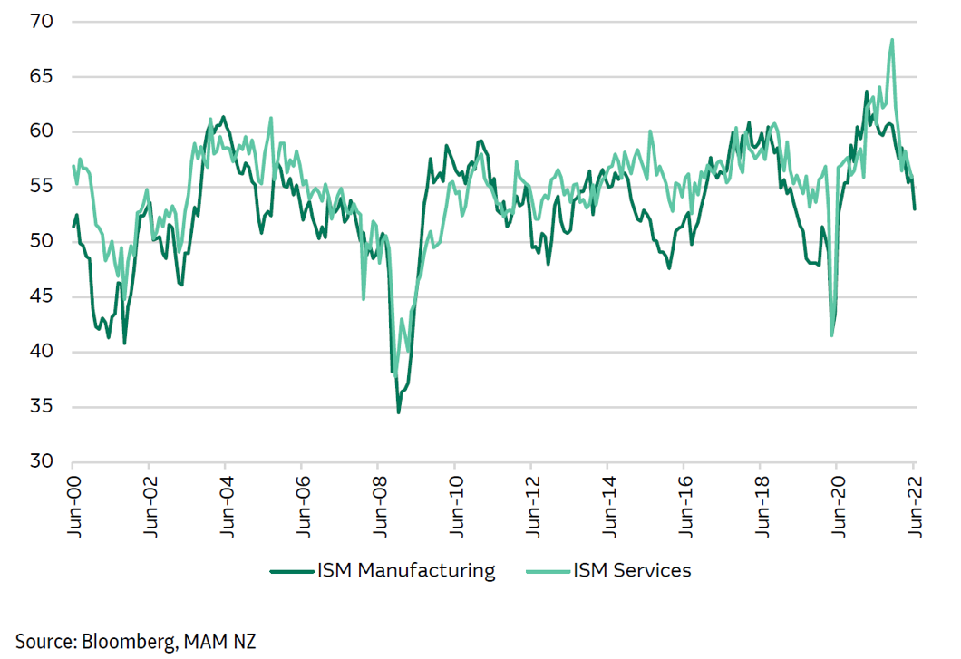 US Manufacturing and Service Indices