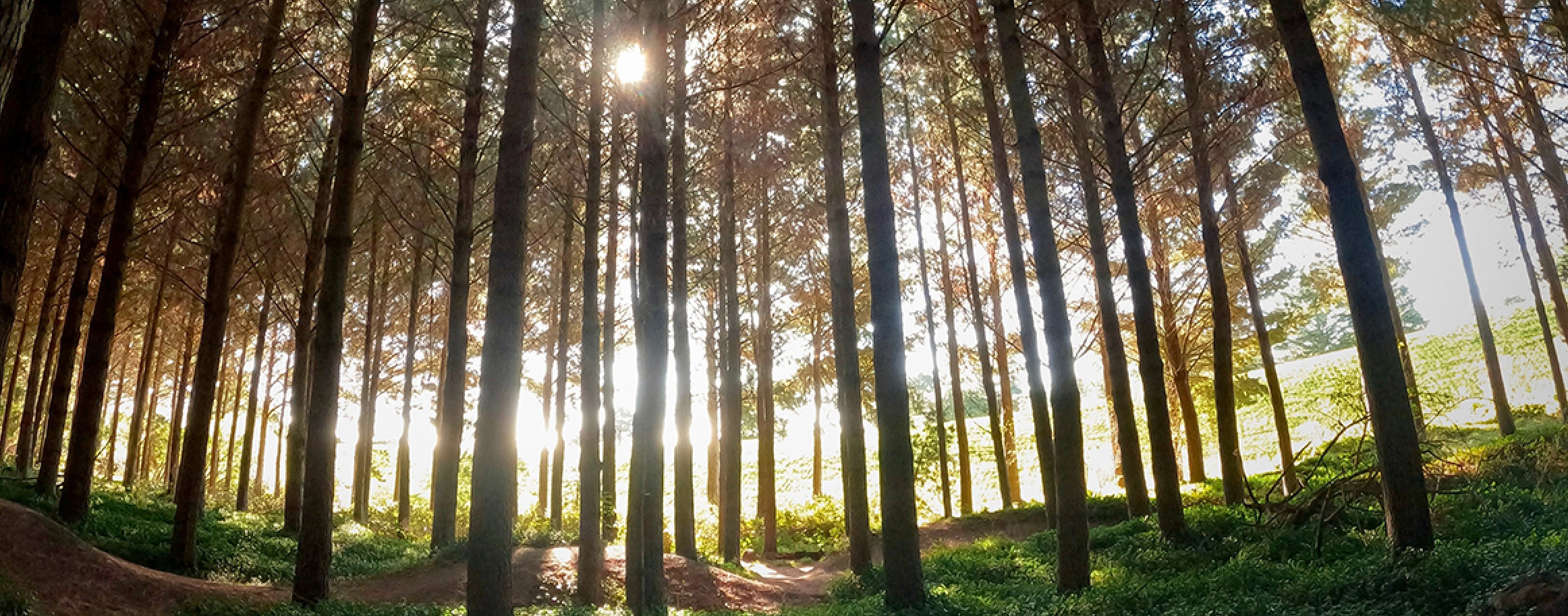 Sustainable Investing